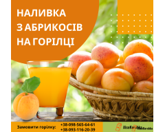 Рецепт наливки з абрикосів на горілці
